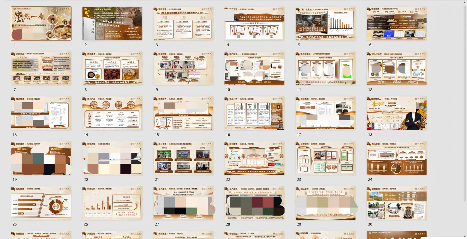 患然一新自然洗护系列项目 PPT 页面展示